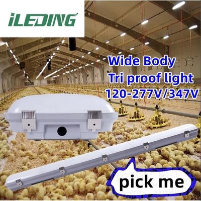 Lagerlichtlösung Industrie-LED-Dampf-Gefängnis-Hochbucht-Nassstand 120-347V