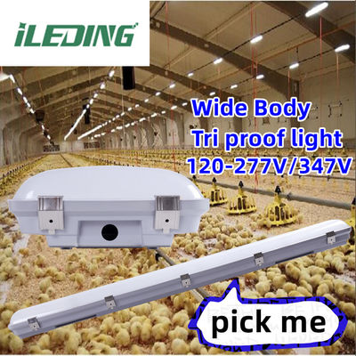 Siliziumdichte LED-Dampfdichte Hohe Bucht IP67 Wasserdicht 200W für Industrielager
