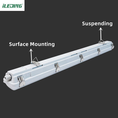 120V-277V / 120V-347V IP66 IK10 LED-Dampfdichte für gewerbliche und industrielle Zwecke