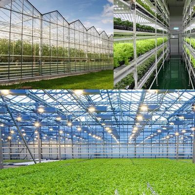 120V-277V / 120V-347V IP66 IK10 LED-Dampfdichte für gewerbliche und industrielle Zwecke