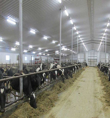 LED-Dampfdicht für kommerzielle und industrielle Lampen hoher Lichtverbrauch lm/w 140