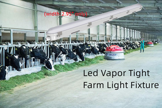 4FT Tri-Proof LED-Leuchte 42W Lineare Dampf-Tight-Licht für die Speicherung von Lebensmitteln Langlebig