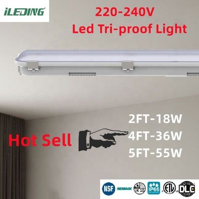 Kommerzielle LED-Dampfdichte 18W 4Ft mit wasserdichtem IP66-Rating und Dimmer-Support