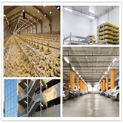 5000lm 36W 4FT Tri-Proof Shop Light 3500K/4000KK/5000K LED Dampfdicht für Industrie