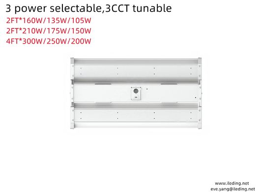 160W 2FT 4FT LED-Liniar-Hochbuchtleuchten für Innenräume und Geschäftsräume