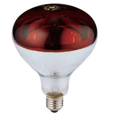 230V Reptilienzuchtlampe Schirm im modernen Design-Stil für geröstetes Rot