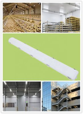 IP66 Wasserdichte Lineare 65W Lager LED Dampf enge Lichtenergie für Indoor Milchfarm