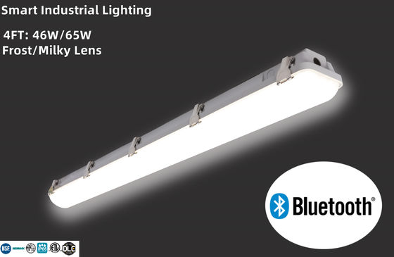 Graue Polycarbonat-Schließklemmen 4FT 46W LED-Dampf-Tight-Licht für Lager
